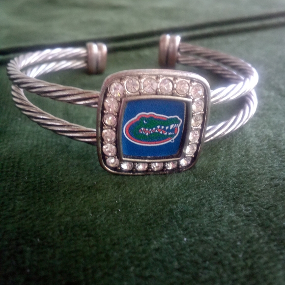Jewelry - UF Gators Silver Twisted Bracelet with Logo And Crystal Diamonds Sterling Plated